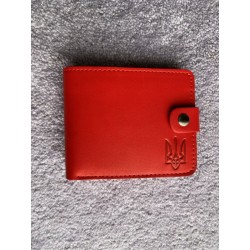 Wallet "Trizub(s)" (WT124m)